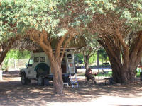 Under the trees in Brandkaros