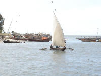 Dhow in the harbour