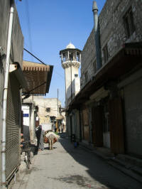 Laden donkey in a street near the market