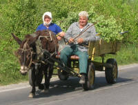 Rural transport