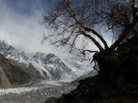 Raikot Glacier and Nanga Parbat