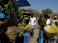 Fruit sellers. there are small brown fruit called Chiku which are absolutely delicious