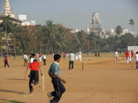 Informal cricket matches on the Oval Maiden