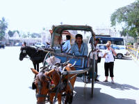 Horse and carriages are still in use to transport people