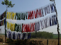Prayer flags