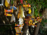 Items hanging from a tree representing prayers being taken by the wind in the Buddhist tradition.