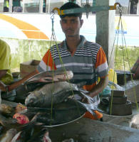 Large river fish at the market (Jay)