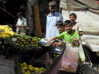 Selling mangoes from a bicycle
