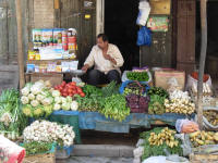 Selling vegetables