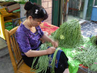 Beans are very long in China. These are being cut in half.
