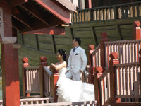 Bride and Groom having photos taken beside the junk