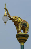 Elephant light at Uthai Thani