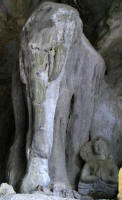 Elephant formation in the elephant cave