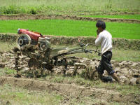 Man ploughing a field