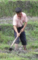 Farmer at work