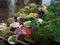Vegetable selection for a meal