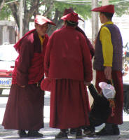 Young monks in the street
