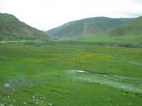 Qinhai grasslands