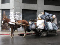 Recycling collection