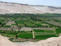 A green valley in the white landscape