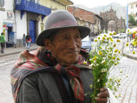 Old man selling flowers
