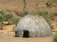 A grass hut.