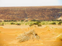 Black of Guelb er Richat, green desert and yellow sand