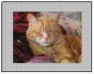 Text Box: 