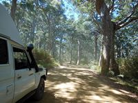 Karri Forest entrance to Cape Howe.