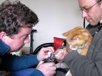 Clipping PurrBall's nails in full battle gear