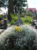 Very few graves use live flowers