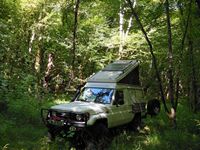 Our lovely place in the forest